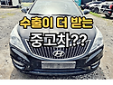 수출이 더 받는 차종과 시세 적어보았습..