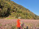 131차. 홍천가칠봉