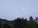 행복이 스스로 차에 못 타요