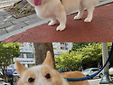 이열치산