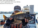 2022.12.28 진동바다마을호
