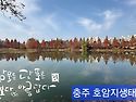 충주 호암지생태공원
