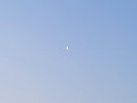 [자작시 한 편, 노래 한 곡] 동명(차창룡)의 시 &#65308;차라리 풀이 되어버리자..