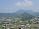 봉명산