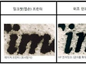통영시 재검표에서 가짜 투표지 발견? ㅡ 최광 전 장관, 부정선거 국민특검 쟁취로 대동단결해야 ㅡ..