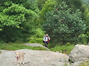 Harriman(7/13/2025)