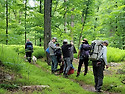 Harriman(6/1/2025)