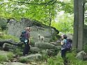 Harriman(6/15/2025)