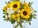 sunflowers ll