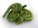 Fiddleheads