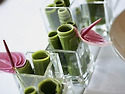 Anthurium andraean..