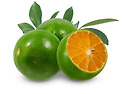 Calamansi