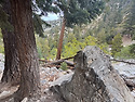 Bighorn Peak Via Bighorn Pe..