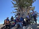 Mount Baden Powell via Vinc..