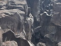Fossil Fall and Redrock can..