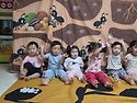 오감트리 ~ 개미🐜