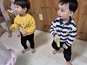 뮤직카토-《원숭이》