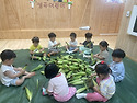 260724 텃밭옥수수 탐험^^