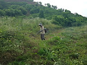 산지 정리작업