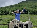 인제 곰배령 야생화 군락지