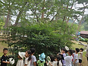 6월 숲체험:부춘.용현.안..