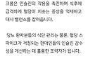 양파의 효능