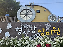 포항 형산강 장미원(2026.5.15)