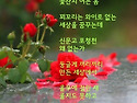 이영우