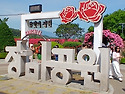 삼척 장미공원 (5/25)