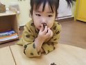 [생태활동] 솔방울로 놀아요