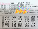 1247회 월 자동입니다