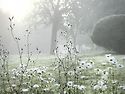 1248회. 일요일 첫자동