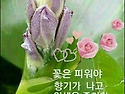 향기 가득한 하루 ~