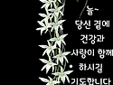 늘~~~