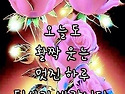 오늘도 ~~~