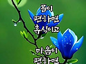 쉬세요