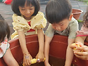 6월 19일(금) 단오행사 "치자 손수건 ..