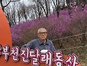 빨갛게 물든 원미산 진달래