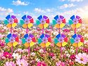 🌸코스모스 바..