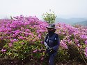 매봉 ~ 봉화산