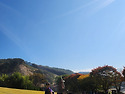청정호,장승공원,장곡사