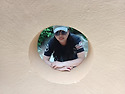 울산 수국축제 나들이2