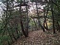 외달도,유달산