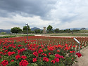 경주동부사적지대(慶州東部史蹟地帶) ..