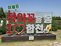 합천 핫들생태공원 &#8211;작약-