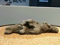 어울림 수석회 전시석-1