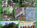 광우산악회 5월 산행 결과 - 수락산 서울둘레길 1코스 -