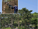 광우산악회 5월 산행 결과 - 서울둘레길1-2 코스, 수락산 -