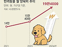 반려동물 양육비, 月평균 19만원 쓴다