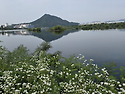 유월의 인사 02